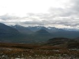 Fjelds 8