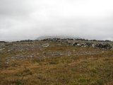 Reindeer fence 2