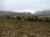 Reindeer fence 4