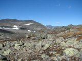 Trail 1