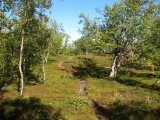 Trail 3