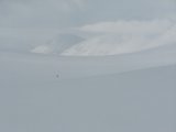 Sealgg 1