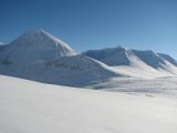 Fjelds 1
