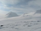 Fjelds 1