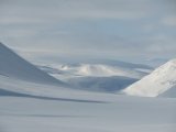 Fjelds 1