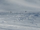Skiers 1