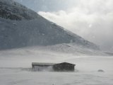 Snow 1