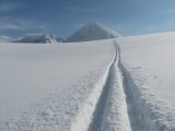 Tracks 4