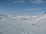 Fjelds 1