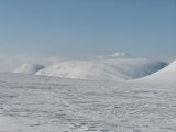 Sealgg 1
