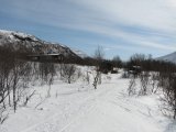 Vistas cottages 1