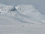 Dogsleds 2