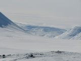 Fjelds 1