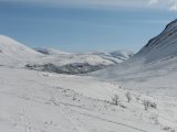 Fjelds 1