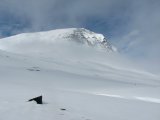 Fjelds 2