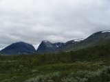 Fjelds 3