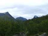 Fjelds 5