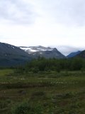 Fjelds 6