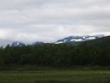 Fjelds 7