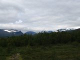 Fjelds 8