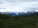 Fjelds 10