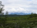 Fjelds 1