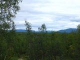 Fjelds 14