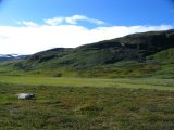 Fjelds 2