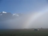 Morning mist 1