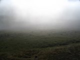 Morning mist 2
