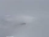 Top view 2