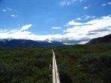 Trail 2
