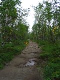 Trail 1