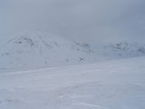 Sealgg 1