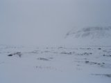 Fjelds 1