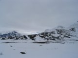 Fjelds 4