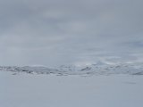 Fjelds 10