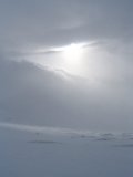 Sun 7