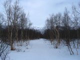 Trail 1