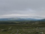 Hovdeh�gen 1