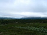 Fjelds 10