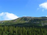 Fjelds 13