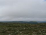 Fjelds 9