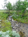 Stream 2
