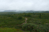 Clouds 18