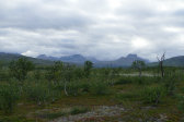 Fjelds 16