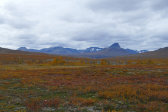 Fjelds 14