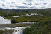 Bealč�njohka 26