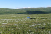 Ruovdd�šjohka 1