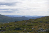 Fjelds 5